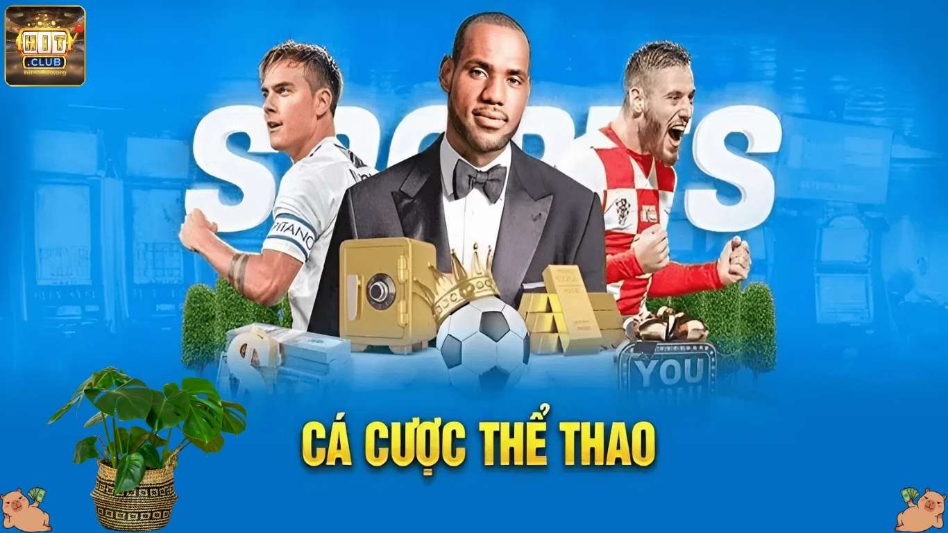 Lý do nên cá cược thể thao tại Hitclub